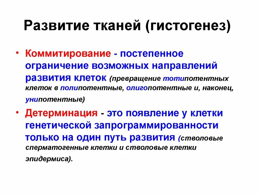 Направления возможного развития. Коммитирование. Детерминация и коммитирование. ДЕТРМИНАЦИЯ клето Кэто. Детерминация гистология.