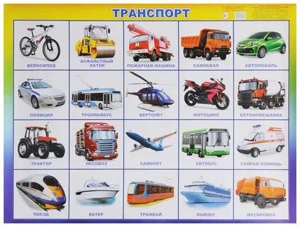 В1 вид транспорта