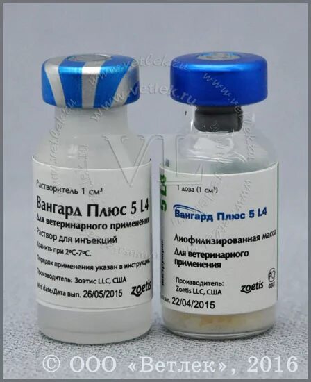 Вакцина вангард плюс. Вангард плюс 5l/4 CV. Вакцина Вангард 5. Вангард 5 l4 CV. Вангард 5 l.