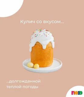 Пж19 интернет