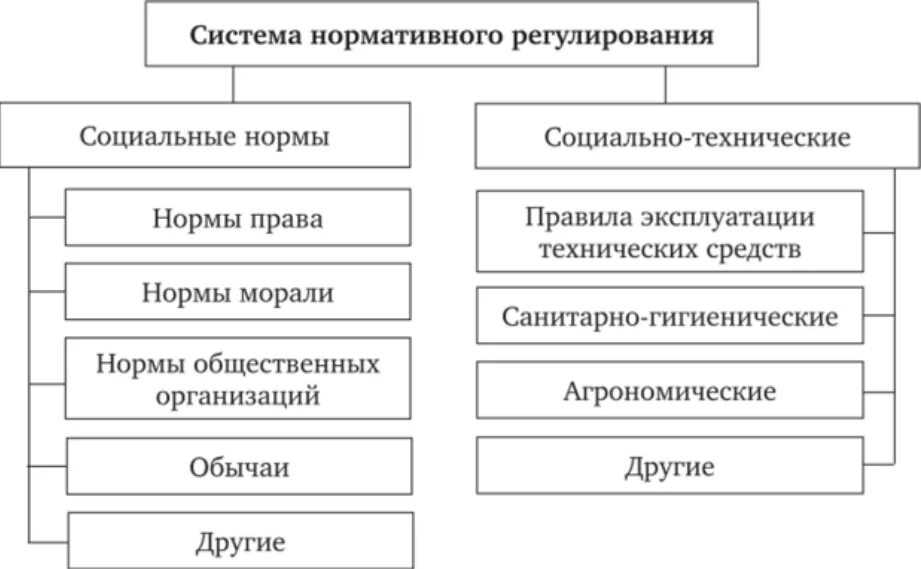 Сущность нормативного регулирования. Система нормативного регулирования общественных отношений. элементы системы нормативного регулирования общественных отношений. система нормативного регулирования общественных отношений тгп. понятие социально нормативного регулирования.