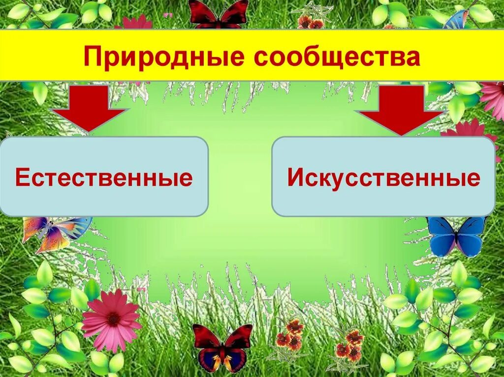 Видеоурок природные сообщества 5 класс биология