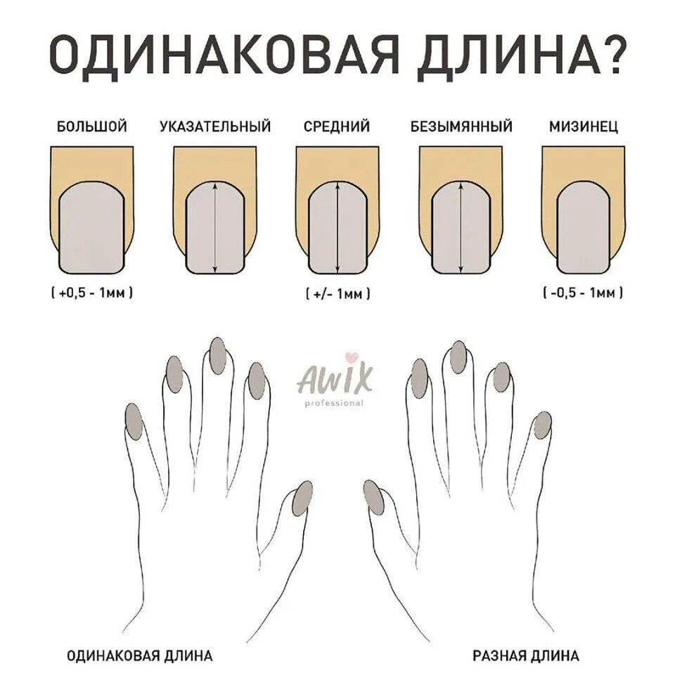 Какой должен быть маникюр. Правильная форма ногтей. Форма ногтей разновидности. Форма ногтей для маникюра. Формы квадратных ногтей и названия.