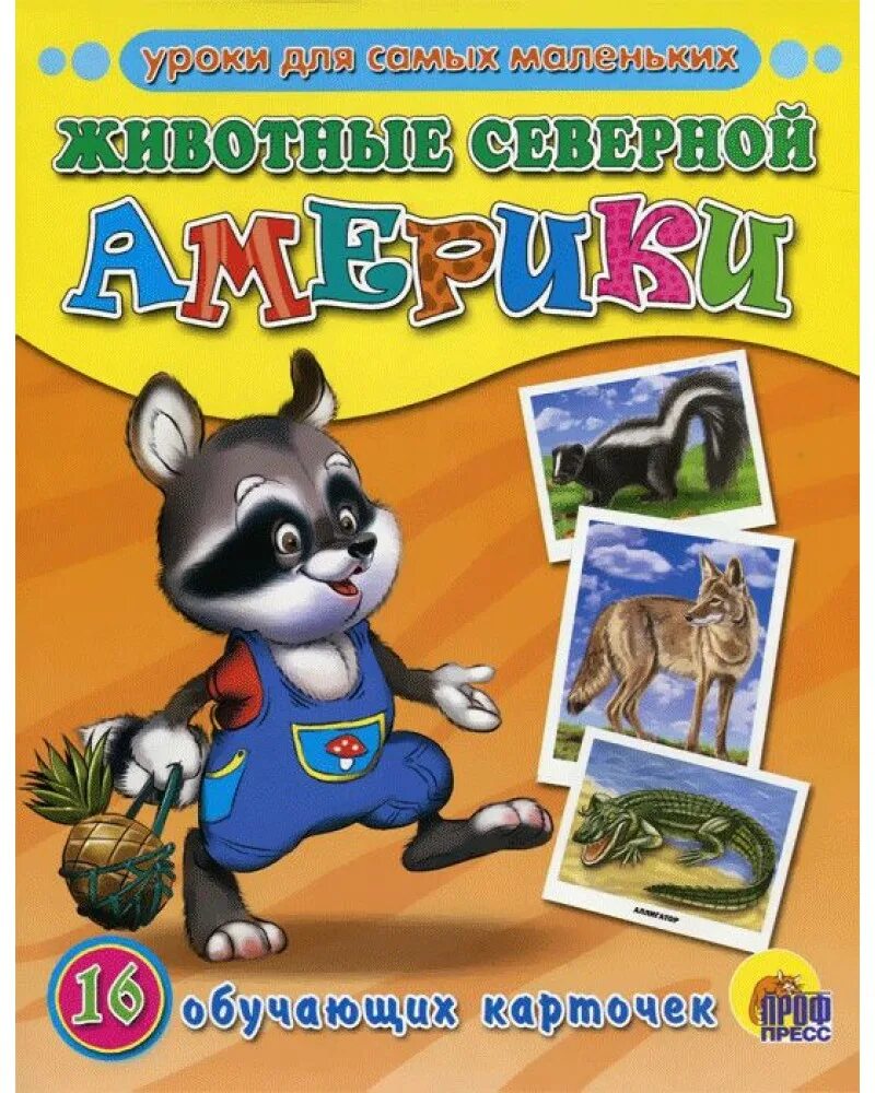 Уроки для самых маленьких обучающие карточки. Игрушка обучающие карточки грибы и ягоды 05680-4. Правила маленького пешехода. Обучающие карточки проф пресс. Обучающие карточки проф пресс.