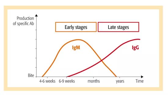 Lean manufacturing principles. Lean production principles. Specific корм для кошек. Product specific. Корм для собак dechra specific.