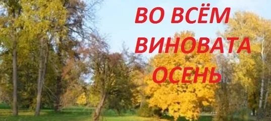 Это осень во всем виновата. Песня это осень во всем виновата. Может во всем виновата осень. Виновата осень