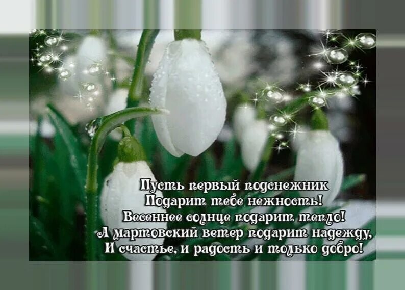 Апрель со словами. День подснежника. Открытки с подснежниками. С первым днем весны.