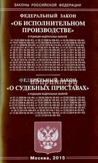 65 фз об исполнительном. ФЗ 205. 205 Закон. ФЗ 205 О дипломатической службе. Пр-во по закону в России.