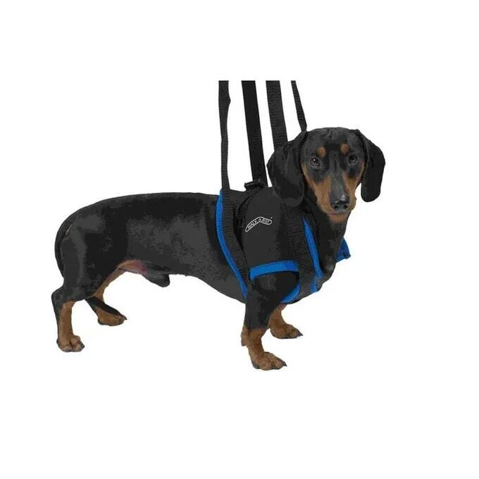 Вожжи для животных. Вожжи для собак kruuse walkabout harness. kruuse вожжи walkabout harness на передние конечности l. шлейка для таксы. такса на поводке.