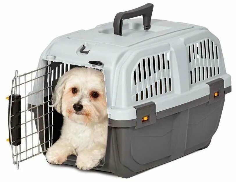 Переноска для джек рассел терьера размер. Skudo 5. Переноска для собак 55х40х40. Переноска-клиппер mps skudo 3. Переноска для собак savic.