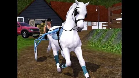 3 hors
