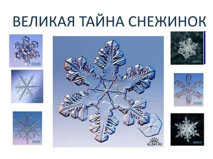 Снежинка имя