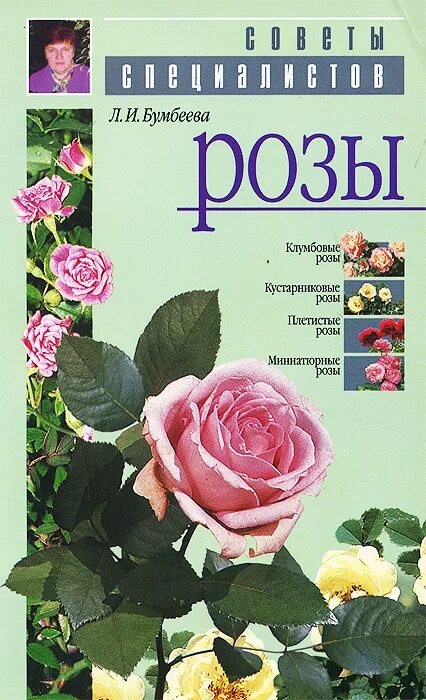Книга про розы. Садовые розы книги. Бумбеева розы. Книга с розой на обложке.