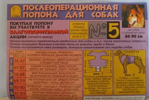 Как завязать попону собаке после операции