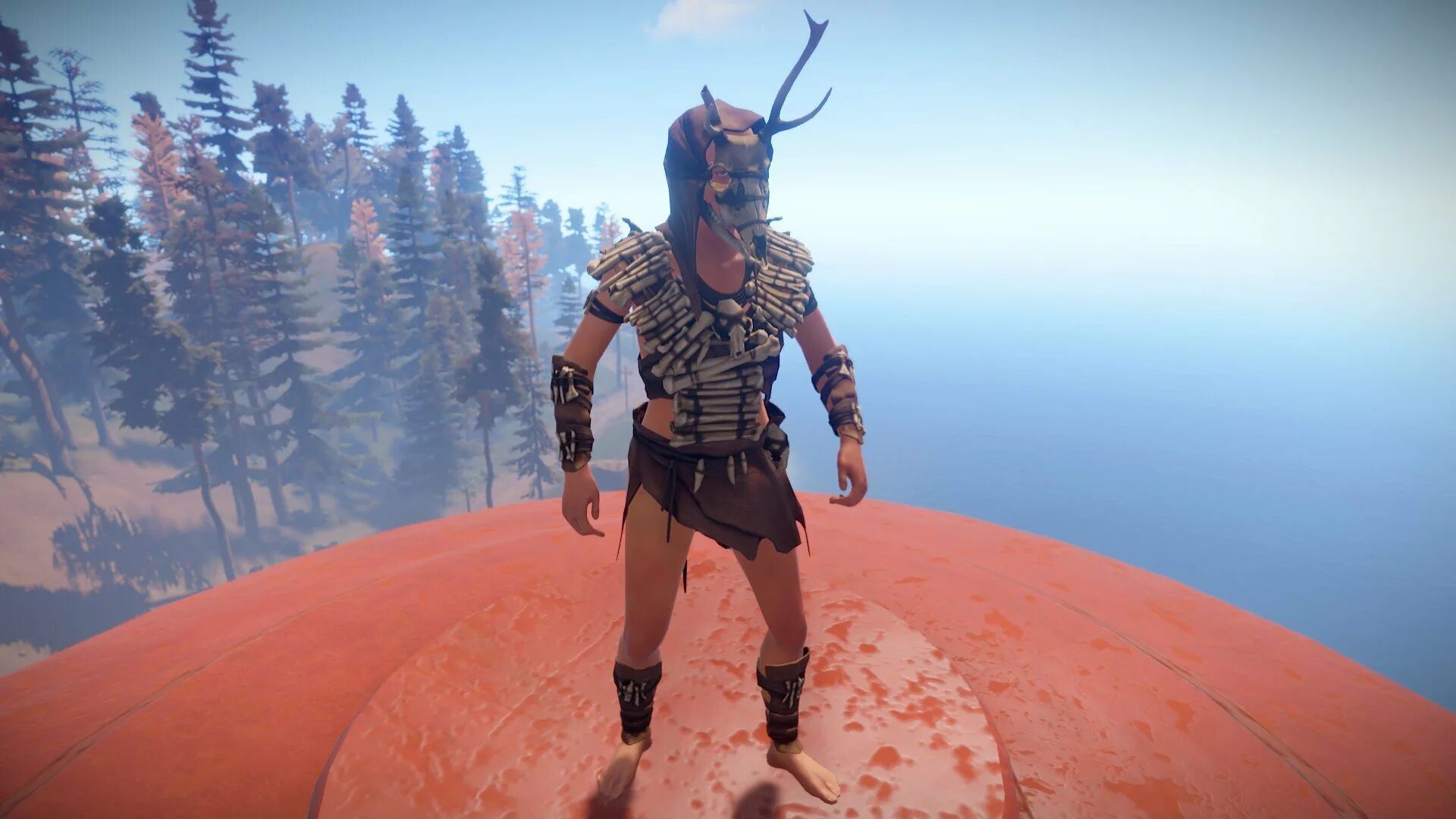 Bruh rust