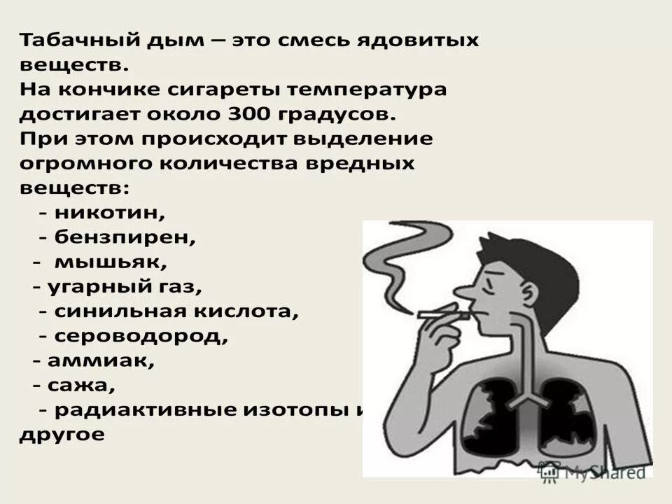 Температура табака. Температура тления табака. Температура горения окурка. Температура сигареты. Температура табака.