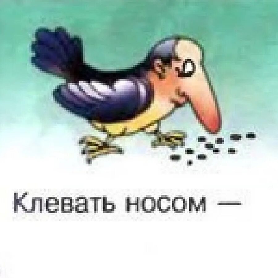 Что значит клевать носом. Клевать носом фразеологизм. Клевать носом картинка к фразеологизму. Клевать носом значение фразеологизма. Фразеологизм клевать носом рисунок.