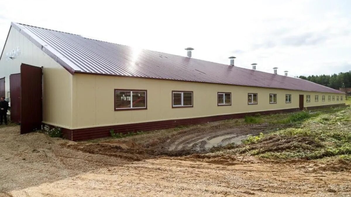 Спк сибирь усть абакан. Спк колхоз восток братский. Спк колхоз заря. Молочный завод усть абакан. Свинокомплекс агроэко в воронежской области.