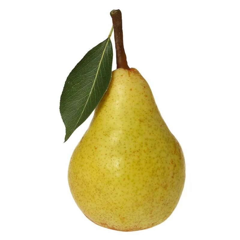 Груша 1. Груша армут. Груша. Груша (плод). Груша армут.