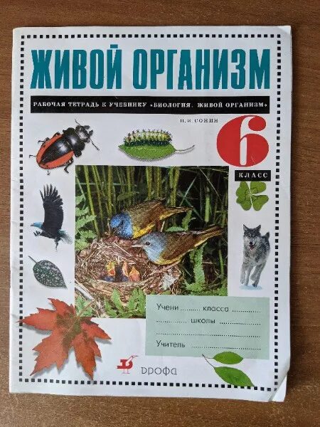 Биология 6 класс живой организм Сонин Сонина. Н. И. Сонин биология 6 класс.