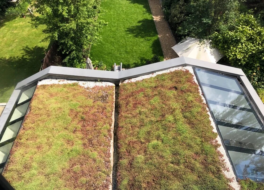 Green Roof. Грин Руф Москва. Green Roof Design. Green Roof how to make.