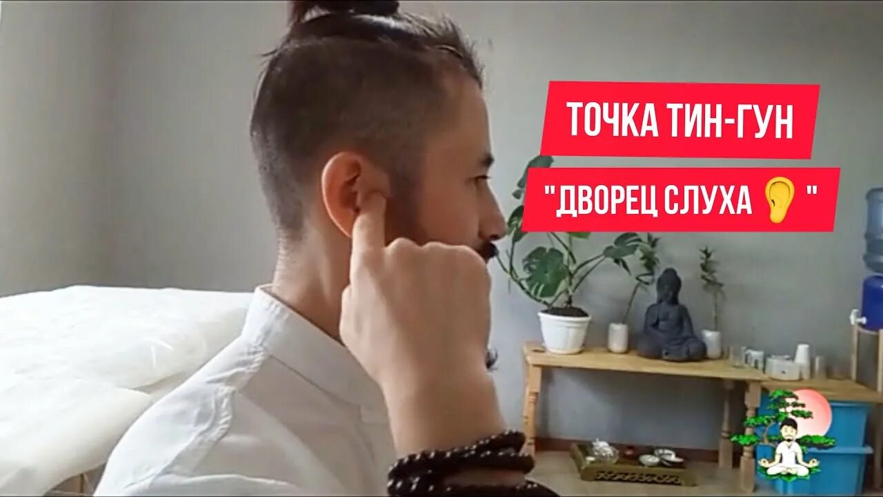 Точка тин. Точка Тин Гун. Точка Тин-Хуэй для улучшения слуха. Ig-19. Тин-Гун. Точка Тин Гун расположение.