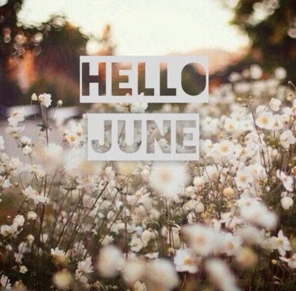 Картины hello. Hello June картинка. Привет июнь. Привет июнь фото. Открытка hello June.