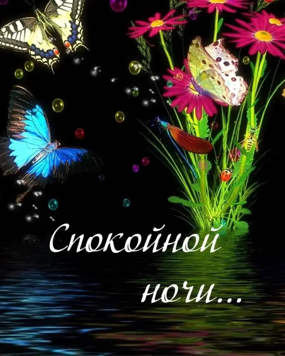 Доброй ночи женщине картинки новые