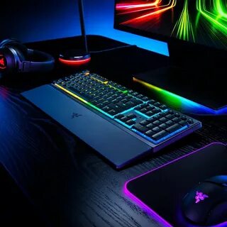 Razer ornata