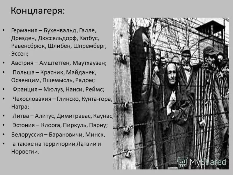 Освенцим Треблинка Бухенвальд Дахау Майданек. Дети-узники концлагеря Равенсбрюк. Концлагеря Освенцим Бухенвальд Дахау. Освенцим Бухенвальд Дахау Треблинка. Сценарий узники фашистских концлагерей