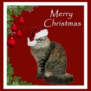 Merry christmas открытки на английском