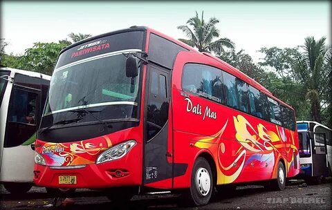 Bus indonesia