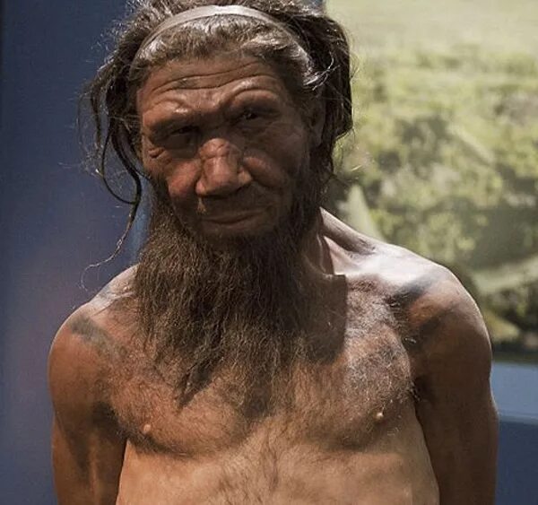 как выглядел денисовский человек