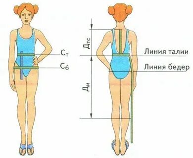 Линия талии