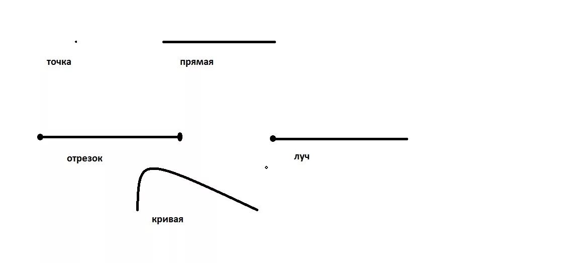 Точка линии кривая прямая отрезок Луч. Точка прямая кривая отрезок Луч. Точка кривая прямая линия отрезок Луч ломаная. Точка кривая линия прямая линия отрезок Луч 1 класс. Прямые линии лучи отрезки