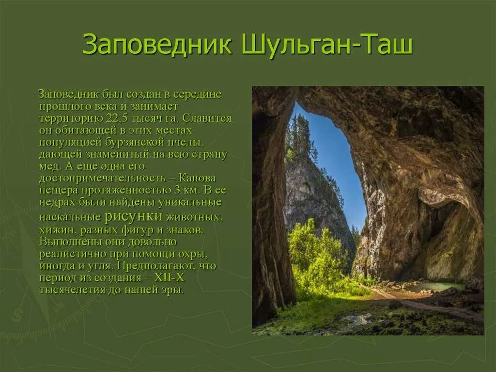 Назовите природное место. Шульган-Таш заповедник. Башкортостан пещера Шульган-Таш. Заповедник Шульган-Таш пещера. Пещера Шульган Таш.