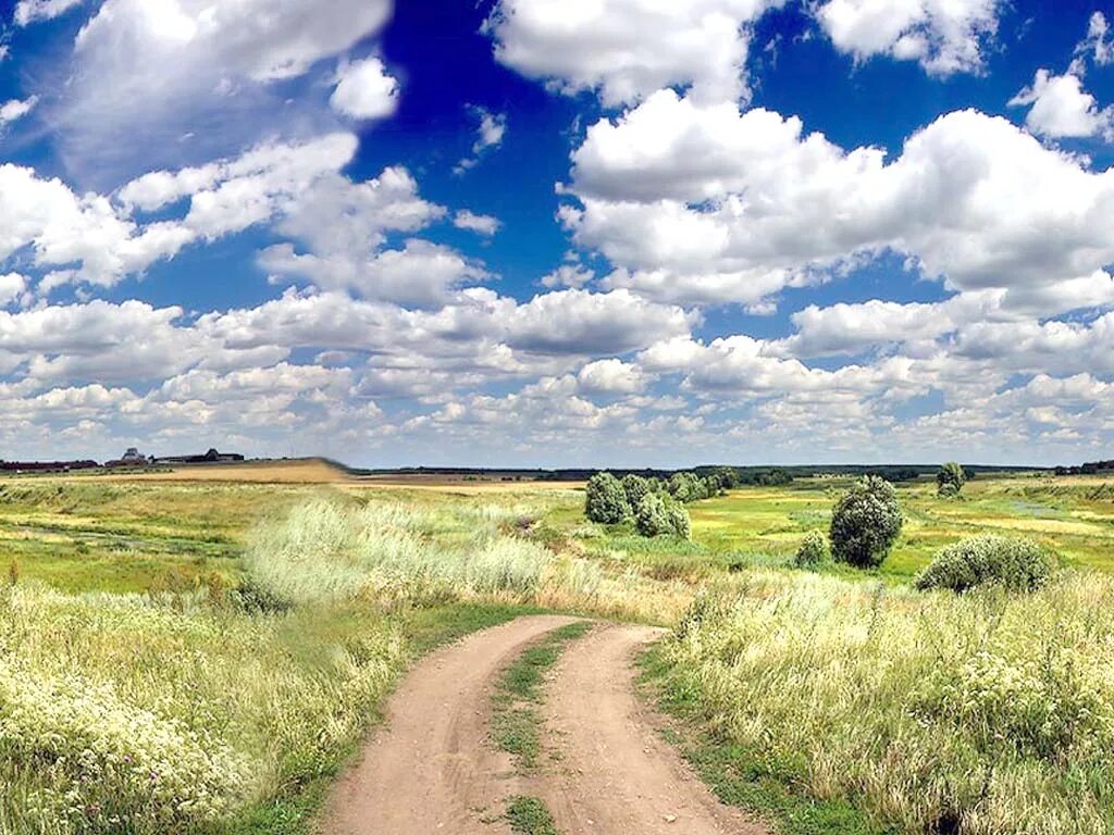 В родных местах дорога. Сельская дорога. Проселочная дорога. Сельская Полевая дорога. Поле деревня.