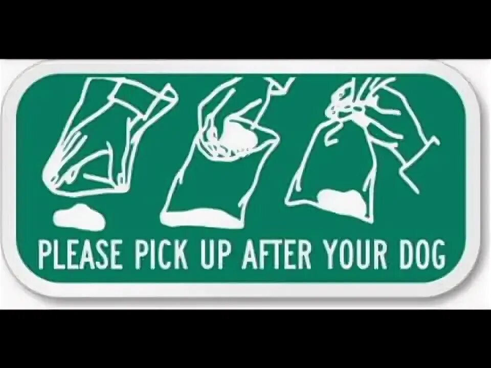 After your pet. Уборка за собакой значок. clean after your dog. памятка по уборке фекалий собак. уборка за собакой вектор.