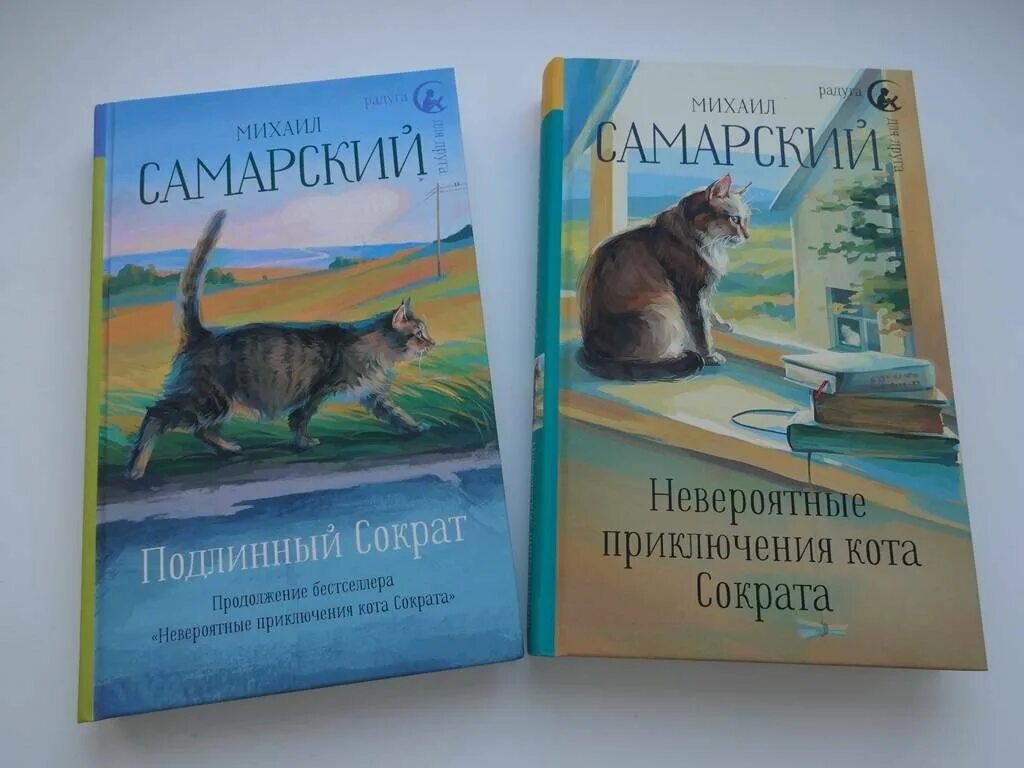 Приключения кота сократа в австралии. Приключения кота сократа в австралии. Книга приключения кота сократа. Книга приключения кота сократа. Книга приключения кота сократа.