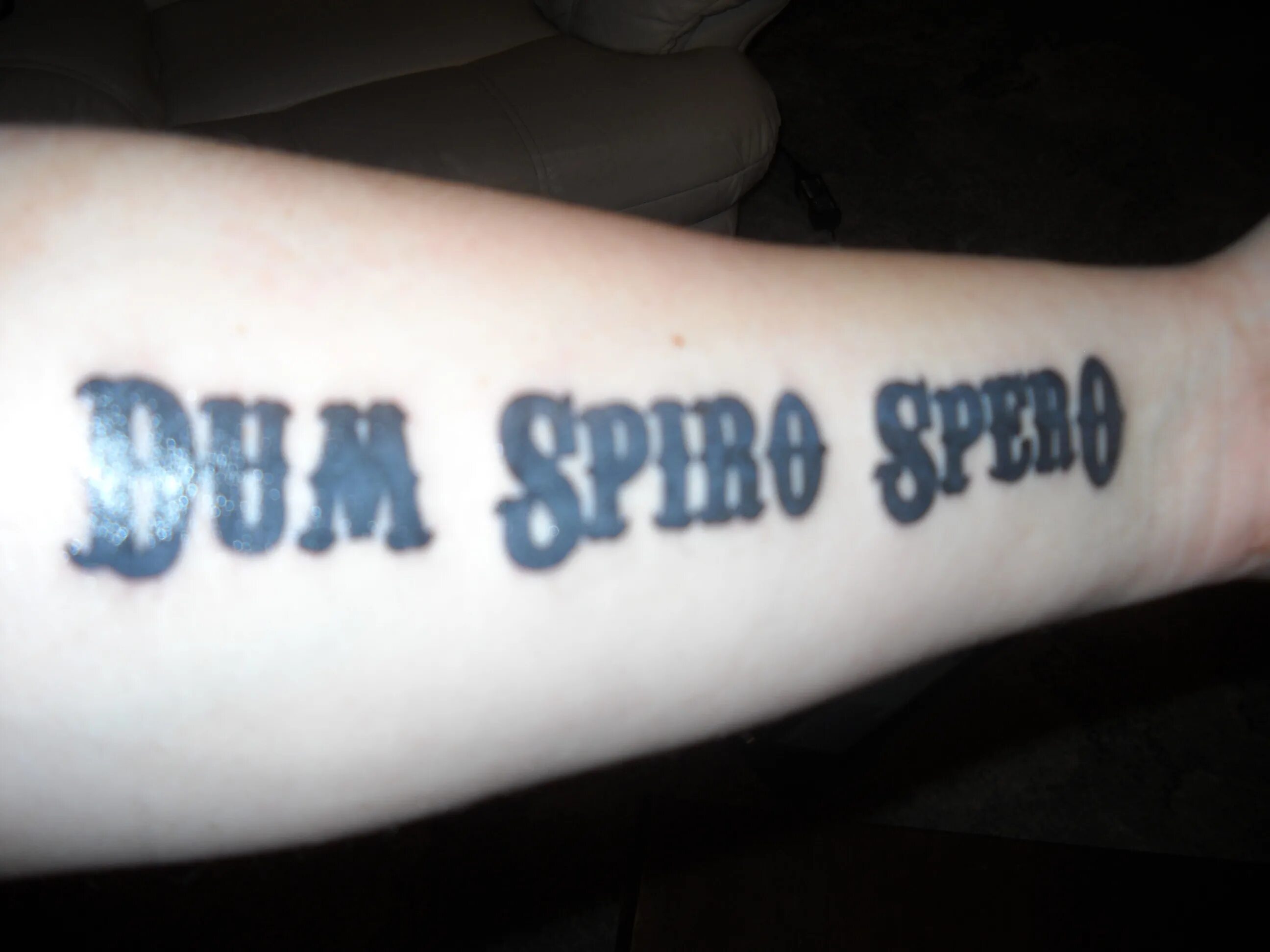 дум спиро сперо. дум спиро сперо тату. Dum латынь. Dum латынь. тату надпись dum spiro spero.