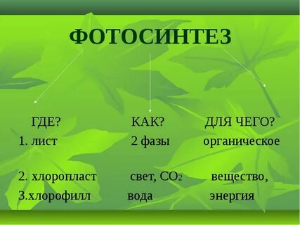 В какой эре появился фотосинтез