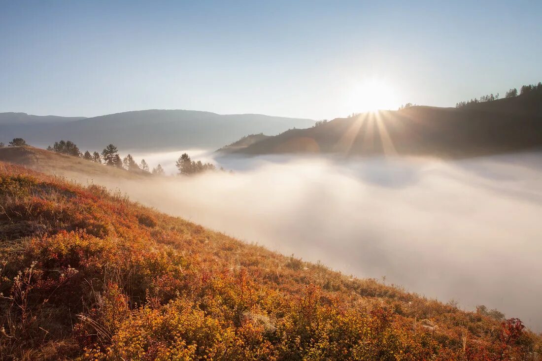 солнце алтая. рассвет на алтае. солнце алтая. золотые горы алтайского края. алтай курай горы.