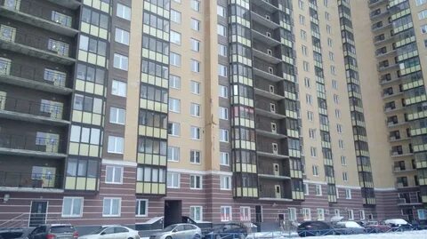 Новое девяткино ул арсенальная 9