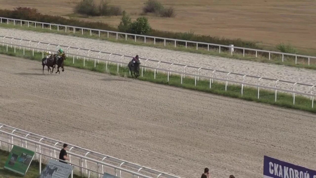 Ипподром Виндзор. Конный завод Свободный труд. Голан жеребец. Windsor Horse show 2018. Конюшня пятигорск