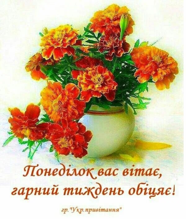 Букет бархатцев фото. Цветы бархатцы букет. Бархатцы. Букет из бархатцев и циний на 1 сентября. Бархатцы букет.