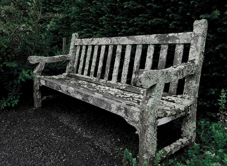 Старые скамейки. Старинная скамья. Скамейка парковая 19 век. Скамейка wood bench. Старая скамейка.