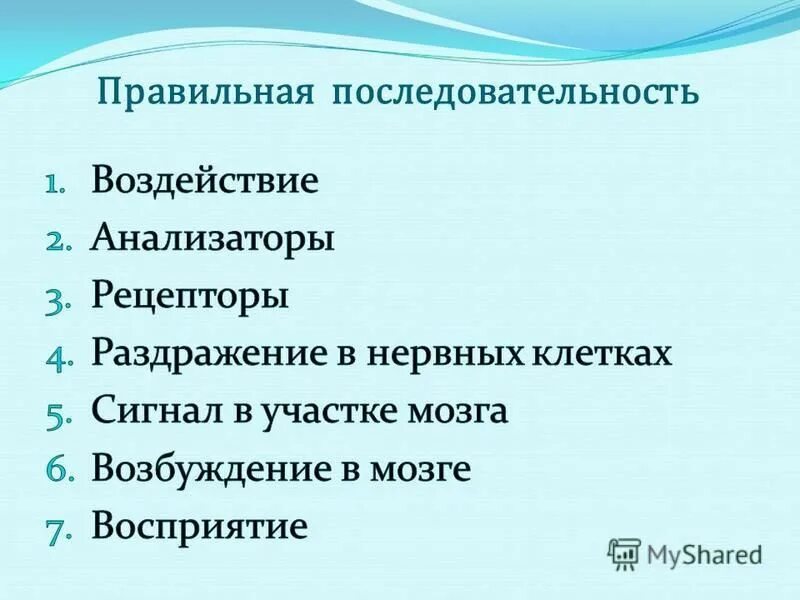 зрительно слуховые виды искусства. зрительно слуховые виды искусства. общая градация видов искусств. виды художественного искусства. классификация видов искусства.