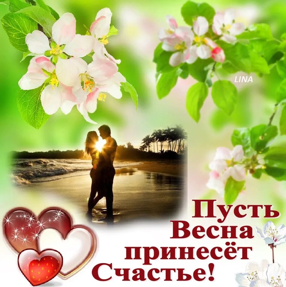 Весеннее настроение. С праздником весны. Хорошего весеннего дня. Отличного весеннего настроения. Желаю счастья здоровья.