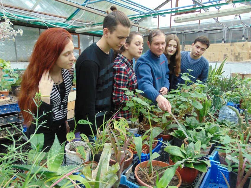 институт биологии и экологии владимир. институт биологии экологии и агротехнологий. институт биологии экологии и агротехнологий. институт биологии экологии и агротехнологий. биологический институт.