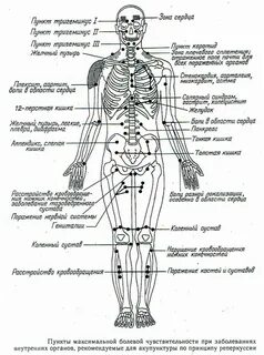 Точки на туловище